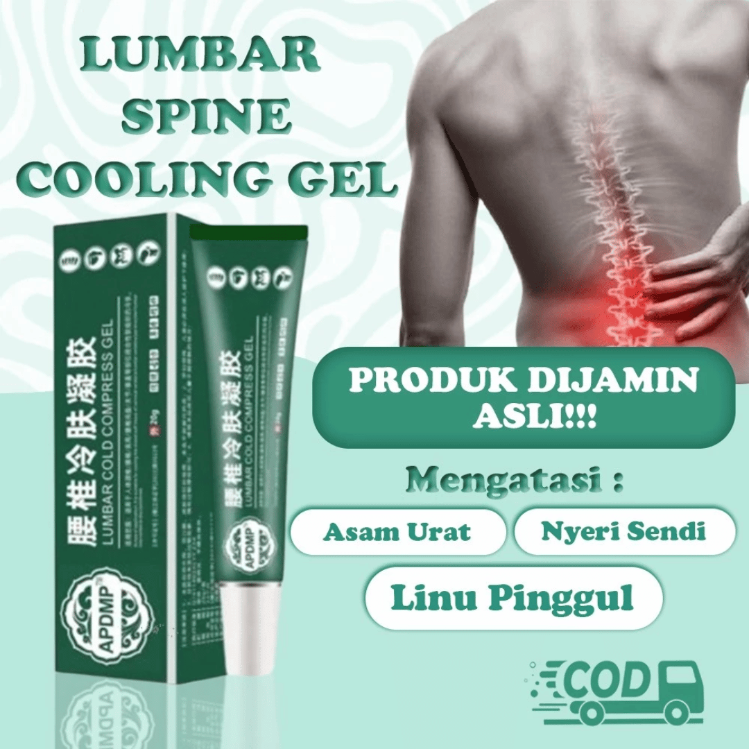 Harga Apdmp Lumbar Salep